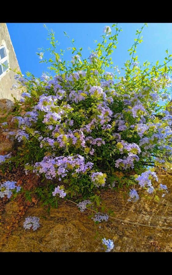 City Walls Sea View Corfu  외부 사진